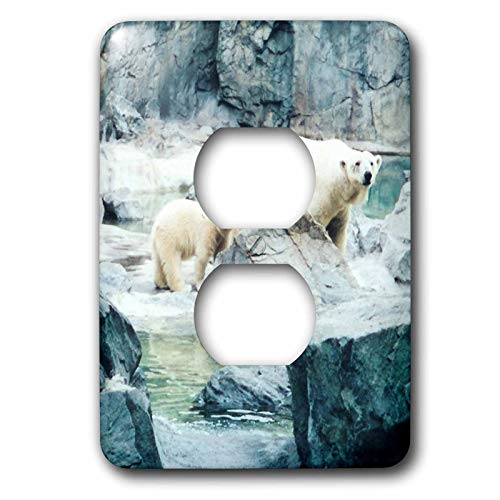 Housse de protection motif ourson polaire 3dRose lsp_24751_6 multicolore lavable