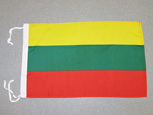 AZ FLAG Lithuania Flag 18'' x 12'' cords - Lithuanian SMALL flags 30 x 45cm - Banner 18x12 in