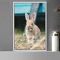 Framed Canvas Wall Art Bunny Animals Bedroom Expressive Multicolor Photography Rabbit Rustic - 16x24 inches