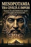 Mesopotamia tra civiltà e imperi: Sumeri, Accadi, Babilonesi, Assiri e il Codice di Hammurab