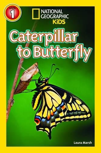 National Geographic Kids Readers: Caterpillar to Butterfly National Geographic Kids Readers: Caterpillar to Butterfly