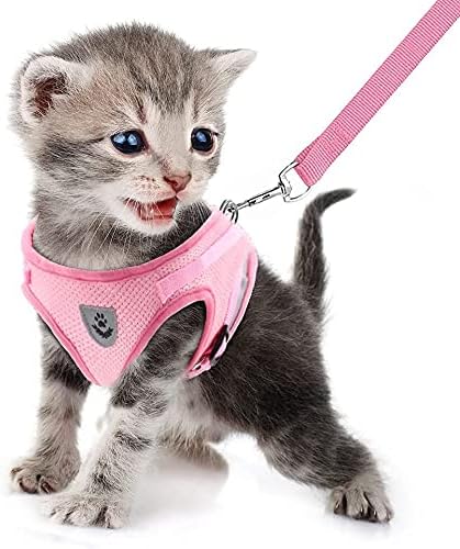 FEimaXDog Harness and Leash Set, No Pull Soft Mesh Pet Harness for Walking Escape Proof Small Cat Step-in Adjustable Vest with Reflective Strip Fit Puppy Kitten Rabbit