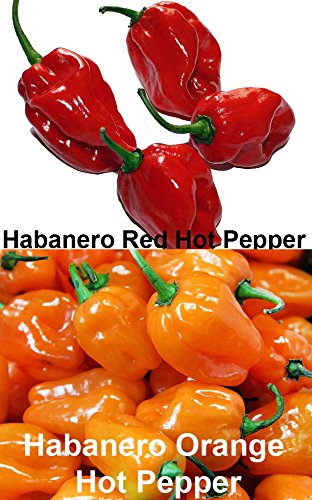 Please Read! This Is A Mix!!! 30+ Hot Pepper Mix Seeds, 16 Varieties Heirloom Non-Gmo Habanero, Tabasco, Jalapeno, Yellow And Red Scotch Bonnet, Ships From Usa! Us Grown. #TOP2