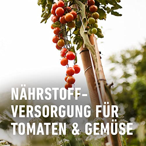 Compo Bio Tomaten- und Gemüse Düngestäbchen und 2 Monate Langzeitwirkung, 20 Stück
