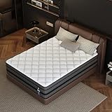 LayRoad Twin Mattress | 12 Inch Hybrid Gel Memory Foam & Pocketed Coil, Cooling Comfort, Medium Firm, Motion Isolation, Edge Support, CertiPUR-US Certified (Queen (U.S. Standard), 14, 14, Inches)