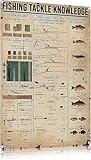 Dimensions : 30 x 20 cm Fishing Tackle Knowledge Affiche vintage avec motifs de crochets par Fish Species - Plaque amusante en métal - 20,3 x 30,5 cm