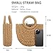 FENBEN Women Straw Crossbody Bag Summer Beach Weave Shoulder Bag Rattan (Brown)