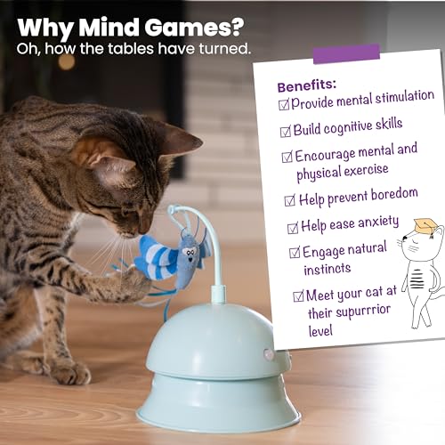 Catstages Brinquedo interativo eletrônico para gatos e topper para pista de bola de gato, ativado po