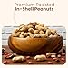 Wellsley Farms Unsalted Roasted In-Shell Peanuts, USA Grown Whole with Shell, Non-GMO, Low Sodium, Cholesterol-Free, Shell-Cracking Snack for Game Day, BBQ & Travel, 5 lb Bag