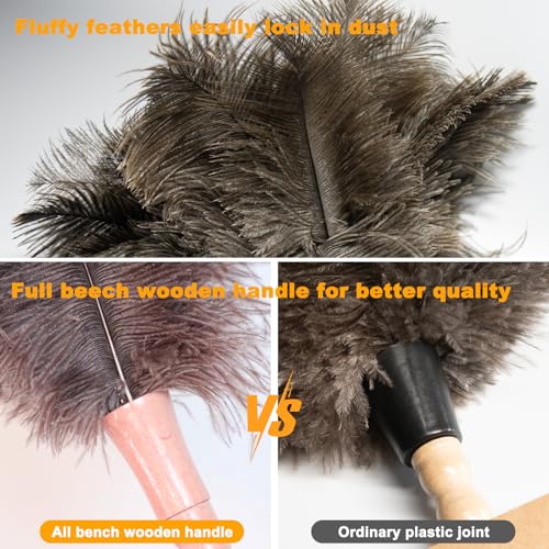 Image of Genuine Ostrich Feather Duster 15 inch
