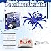 Wall Climbing Spider Remote Control Toy, RC Creepy Crawly Spider with LED Red Eyes, Climbs Walls & Ceilings, Fast Moving Prank Toy for Kids 3+, Indoor Halloween Christmas Birthday Gift (Purple)