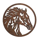Wenbery 19.75" W X 19.75" H Metal Horse Head Wall Art Decor, Metal Western Animal Wall Sculpture for