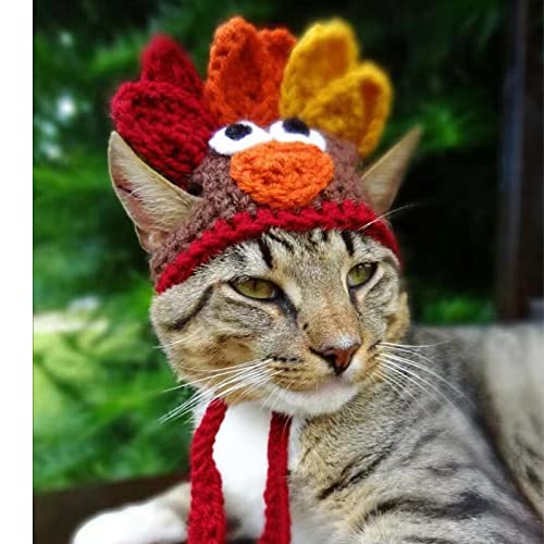 Disfraz de gorro pavo para mascotas pequeño miniatura 4
