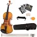 Mendini 1/2 MV400 Ebony Fitted Solid Wood Violin with Hard Case, Shoulder Rest, Bow, Rosin, Extra Bridge and Strings