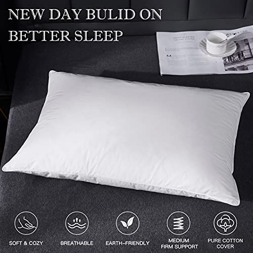Alanzimo Luxury Home Collection Goose Feathers Down Pillows Queen Size For Sleeping Bed Pillows,100% Feather-Proof Natural Cotton Cover 1 Pack Soft Pillow For Side Stomach Sleepers(Queen:1 Pillow) #TOP1