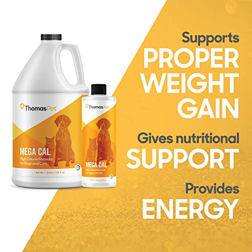 Thomas Labs Mega Cal - High Calorie Supplement For Dogs & Cats - Provides Energy & Nutritional Support - (16 Fluid Ounces) #TOP2
