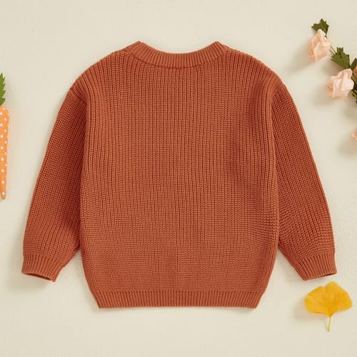 Owl's-Yard Kids Easter Sweater Long Sleeve Crew Neck Carrot Letters Warm Winter Sweater Easter Clothes for Girls Boys4