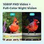 Birdfy Smart Bird Feeder avec appareil photo, Durable Metal Bird Feters pour l'extérieur, Auto-Capture Bird Videos, Alertes instantanées, Détection de mouvements, Caméra solaire d'oiseaux (Birdfy Métal)