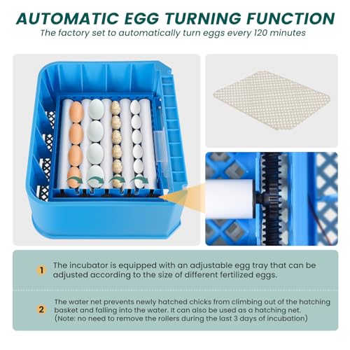 CEED4U incubadoras para incubação de ovos, incubadora de 16 ovos com viragem automática de ovos, con
