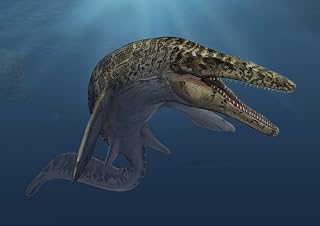 Posterazzi Mosasaurus hoffmanni swimming in prehistoric waters Poster Print, (16 x 11)
