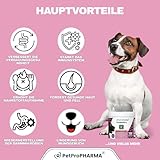 PetPro PHARMA - Probiotic Pro – Verdauungsgesundheit & Immunstärkung für Hunde & Katzen – Mit Probiotika, Präbiotika & Verdauungsenzymen – Ergänzungsfutter,120 Kautabletten, 360 g.