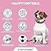 PetPro PHARMA - Probiotic Pro – Verdauungsgesundheit & Immunstärkung für Hunde & Katzen – Mit Probiotika, Präbiotika & Verdauungsenzymen – Ergänzungsfutter,120 Kautabletten, 360 g.