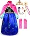 SweetNicole Snow Queen Elsa Princess Party Dress Costume with Accessories