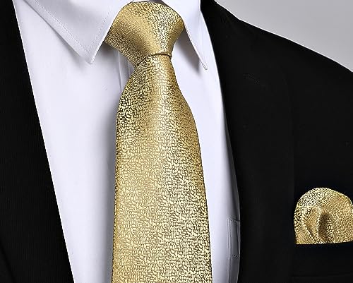 Image of HISDERN Mens Striped Tie and Pocket Square Set Necktie for Men | soft smooth texture, wrinkle-free, neat hand-tied knot, gifting ready, regular 3.4 width, coordinated look, business wedding