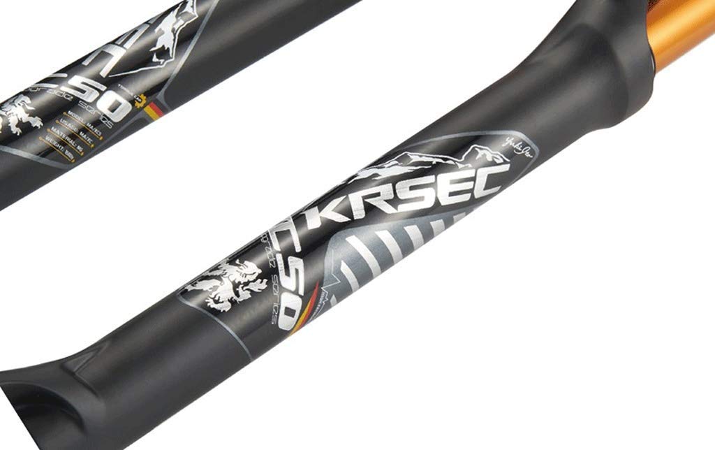 ZCXBHD 20 Forcella Fat Bike 4.0 Pneumatico Neve Spiaggia Forcella