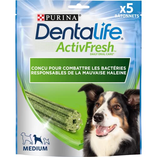 Dentalife Hund Die 15 besten Produkte im Vergleich HundeINFOPortal