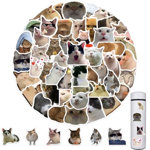 Juego de 50 pegatinas divertidas de meme, diseño de gatos, gatos, meme, pegatinas divertidas para portátiles, pegatinas de vinilo impermeables para monopatín, portátil, maleta, casco, moto, bicicleta,