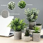 5 Stück Kunstpflanze, Mini Künstliche Pflanzen Schlangenzunge, Agave Sukkulente, Eagle Claw Aloe, Künstliche Pflanzen für Schlafzimmer Büro Dekoration – Bild 5