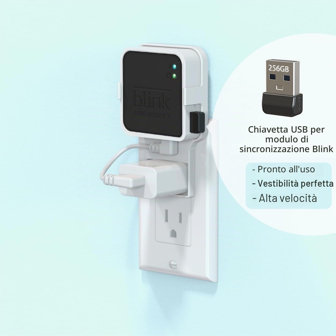 Hibezos Chiavetta USB Blink da 256 GB, compatibile con modulo Blink Sync 2, supporto a parete per risparmiare spazio, archiviazione stabile e sicura
