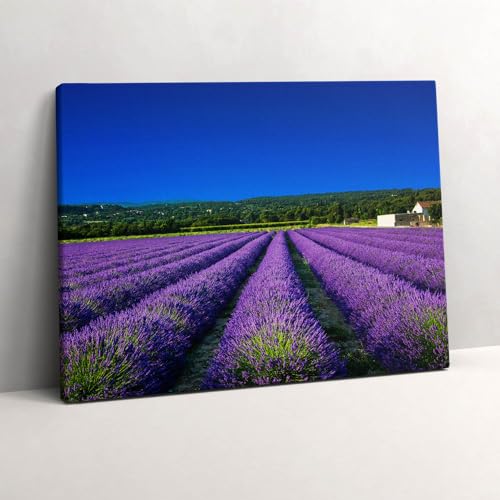 Image sur Toile Champ de Lavande en Provence Wallfluent 80x60cm Décoration Murale Peinte