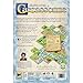 Mists Over Carcassonne Board Game | Territory Building Strategy Game | Cooperative Family Game for Kids and Adults | Ages 8+ | 1-5 Players | Average Playtime 45 Minutes | Made by Z-Man Games