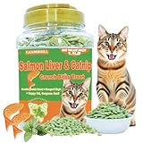 GANMHOILL 1.1 lb/500g Cat Grass Treats for Indoor Cats - 17.6 oz Natural Salmon & Catnip Flavor, Healthy Snacks for All Life Stages, Crunchy Training Biscuits with Dental Care & Hairball Control