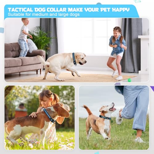Collar Reflectante para Perro Azul Talla L miniatura 7