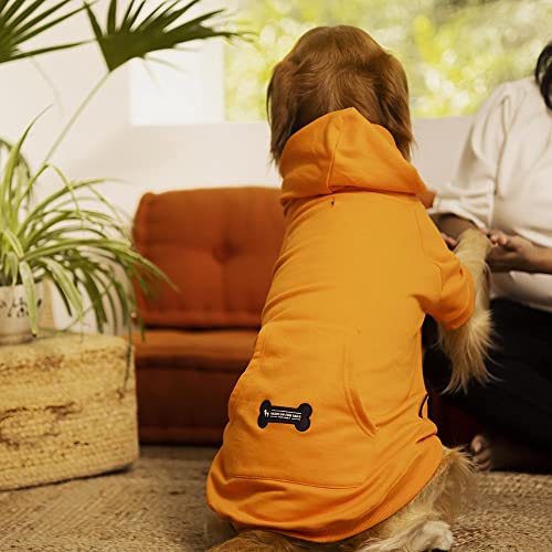 Image of Heads Up For Tails Sweatshirt for Dogs - Orange - XL