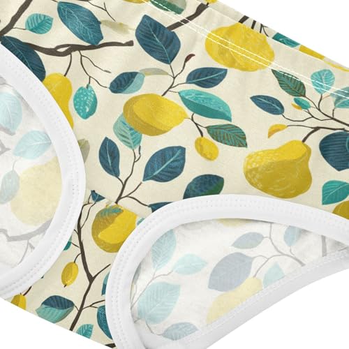 Wusikd Pears Girls' Underwear Cotton Girls Briefs Soft Toddler Underwear 2T4