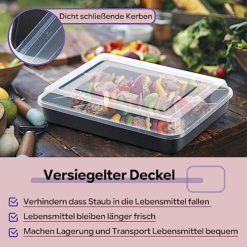 Joyfair Teglia da forno in acciaio inox, piccola