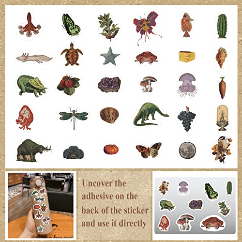 Tramin 100 Pcs Vintage Posters, Collage Kit Aesthetic Pictures, Cottagecore Room Decor For Bedroom, Cute Dorm Photo Wall Decor For Teen Girls, Botanical Wall Art… #TOP2