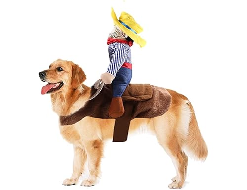  [Best] 10 Celebrated Dog Saddle Costumes