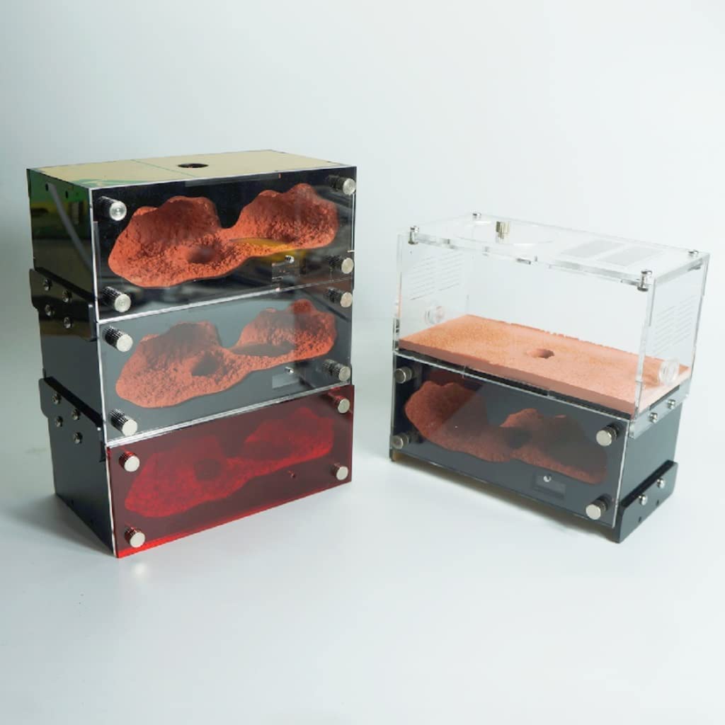 SOIMISS Ameisenfarm - Transparentes Beobachtungsset Für Ameisenkolonien