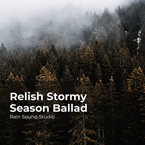 Amazon Music Rain Sound Studio & Meditation Rain Sounds & The Rain