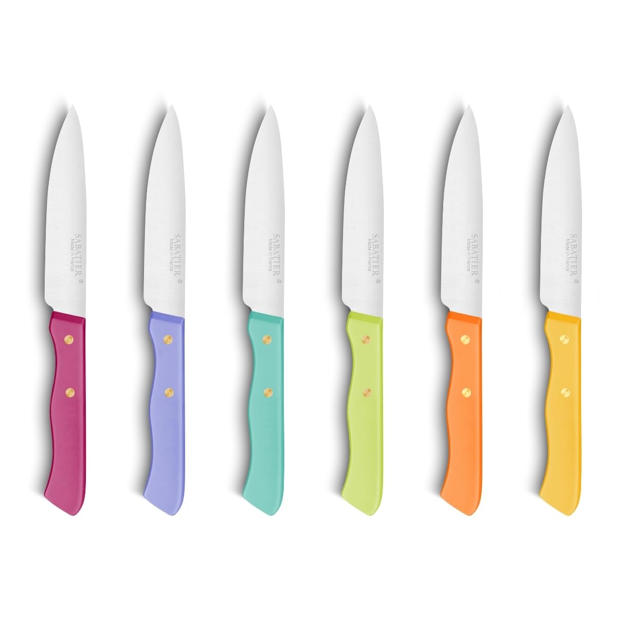 Sabatier - Set de 6 couteaux à Viandes SERIE 197-10 cm