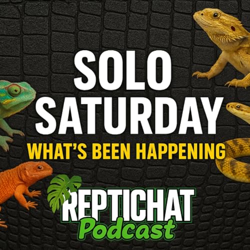 ReptiChat #Ep 64 - Morocco, Life, Future Plans! What's going on with the podcast?