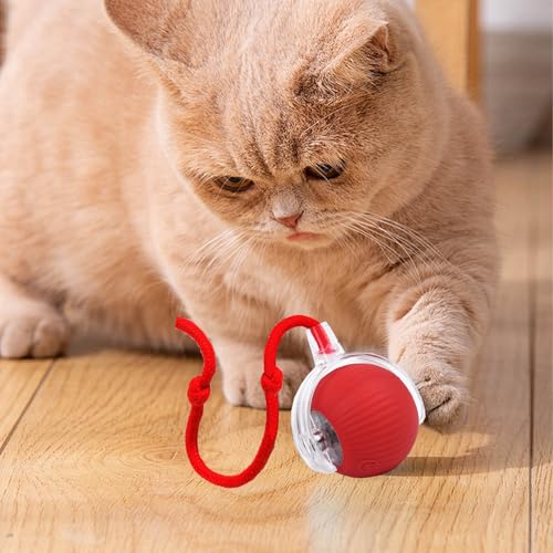 YOUYIKE Katzenball Interaktives Elektrisch Automatisch Katzenspielzeug Ball mit Schnur & Falscher Maus Selbstrollender Spielzeug Ball Cat Chase Running Toy für Hund