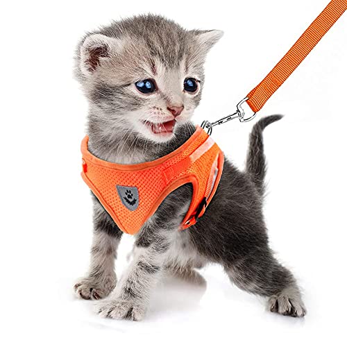 FEimaX Imbracatura e Guinzagli Set per Cani