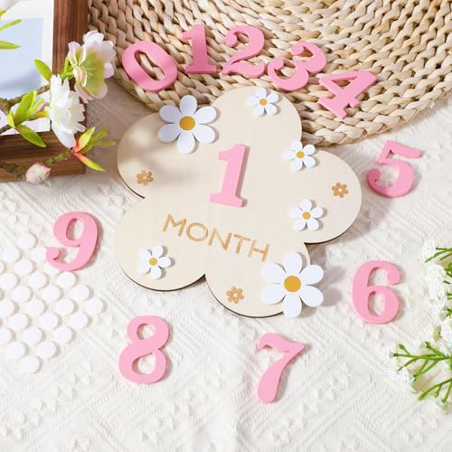 Image of 3D Baby Monthly Milestone Markers Disc, Milestone Wooden Circles for Baby Photos, Babies Announcement Sign, Babies Months Signs, 1-12 Month Milestones Cards