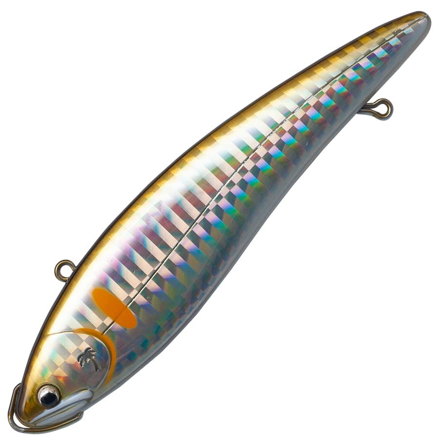 Amazon.co.jp: パームス(Palms) エスケードバイブEV100S2 H51